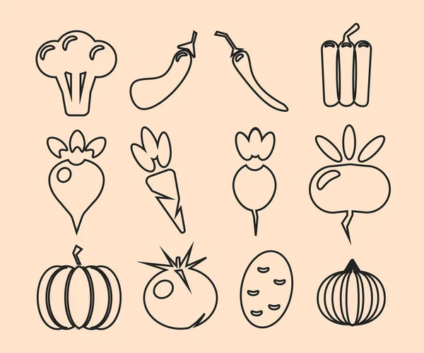 Basic vegetables thin line icon set. isolated. black color Vector Illustration — Stock Vector