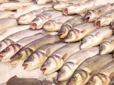 Taze soğumuş balıklar tezgahın tezgahında sıraya dizilmişti. Tazeliği korumak için buzla kaplanmış balıklar