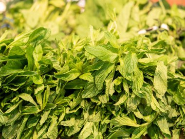 Parlak yenilebilir yeşiller kapanıyor. Yeşilliklerin dokusu