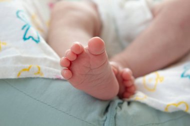 Şeftali ekose üzerinde yeni doğmuş bir bebeğin küçük şirin ayakları. Yeni doğan fotoğrafı