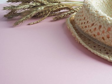 Yaz dişi hasır şapka pembe kağıt arka planda buğday kulakları ile yatar