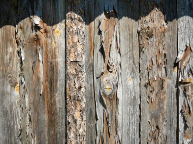 Güneşteki eski püskü tahtalar