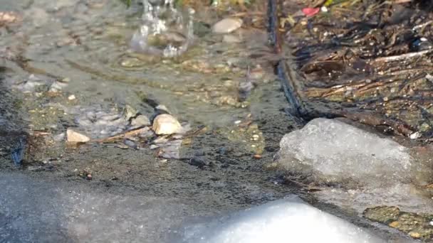 Капли Воды Капают Вниз Порвутся Брызгами Весной Крупный План Снег — стоковое видео