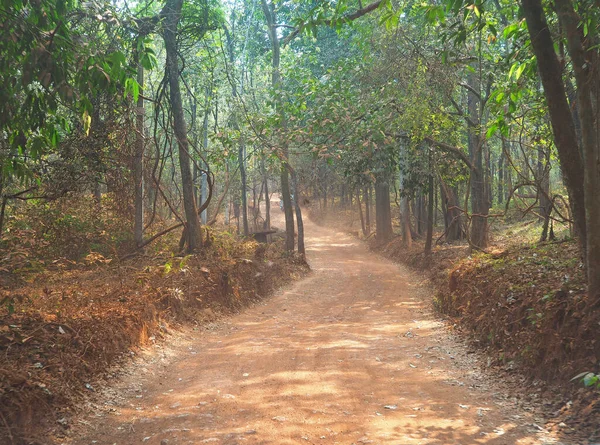 Uma Estrada Poeirenta Rochosa Que Atravessa Selva Condução Transfronteiriça — Fotografia de Stock