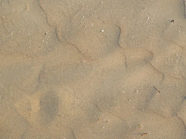 Eine Nahaufnahme Einer Sandstrand Textur — Stockfoto