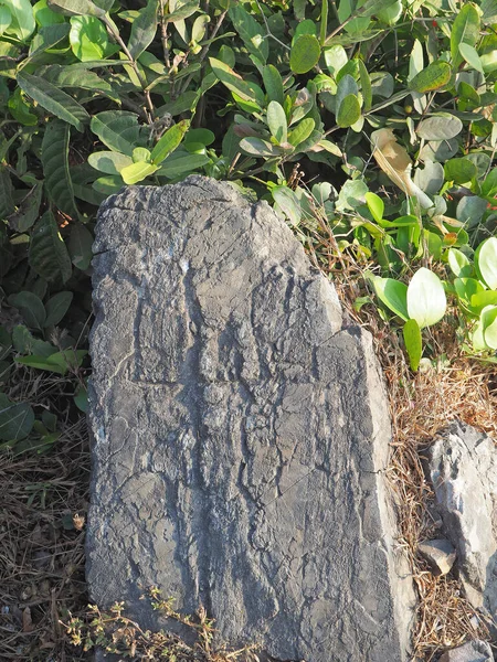 Beautiful Big Stone Green Plants Garden — Stock Photo, Image