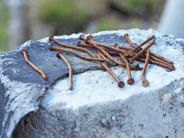 Gamla Rostiga Böjda Naglar Ligger Hög Betongstolpe — Stockfoto