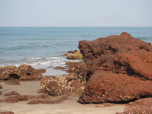 Red Volcanic Rocks Sea Coast India — Stock Photo, Image