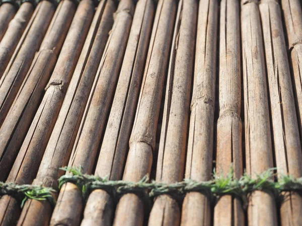 Paus Bambu Secos Amarrados Com Corda Fechar — Fotografia de Stock