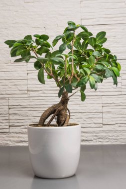 güzel çiçek süslemeleri