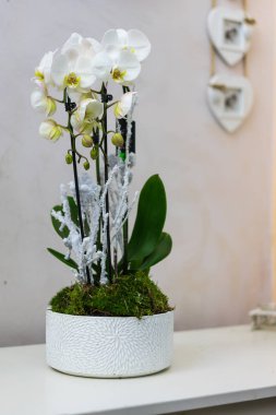 güzel çiçek süslemeleri