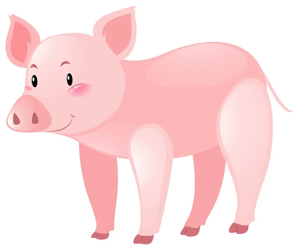 Niedliches Schwein auf weißem Hintergrund — Stockvektor