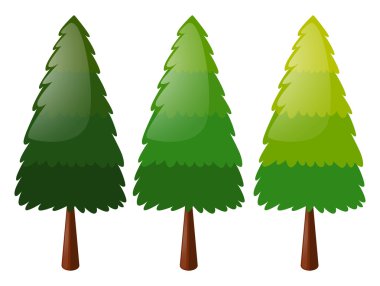 Üç renk ağacında