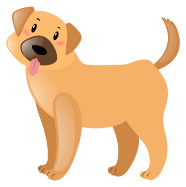 Kahverengi kürklü küçük köpek