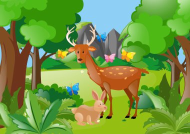 Geyik ve tavşan ormanda