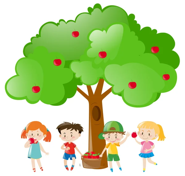 Niños recogiendo manzanas en el árbol — Vector de stock