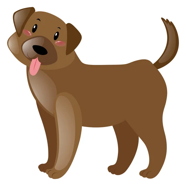 Netter Hund mit braunem Fell — Stockvektor