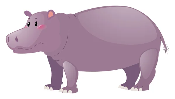 Beyaz arka plan üzerinde sevimli hippo — Stok Vektör