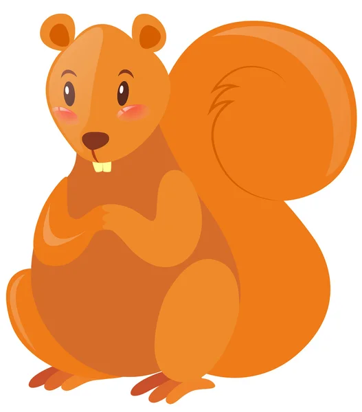 Carino scoiattolo con pelliccia marrone — Vettoriale Stock