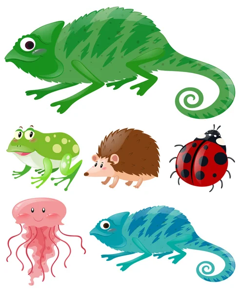 Lizard and other animals — Stock Vector