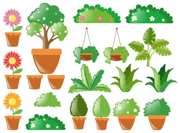 Different types of plants — Stock Vector