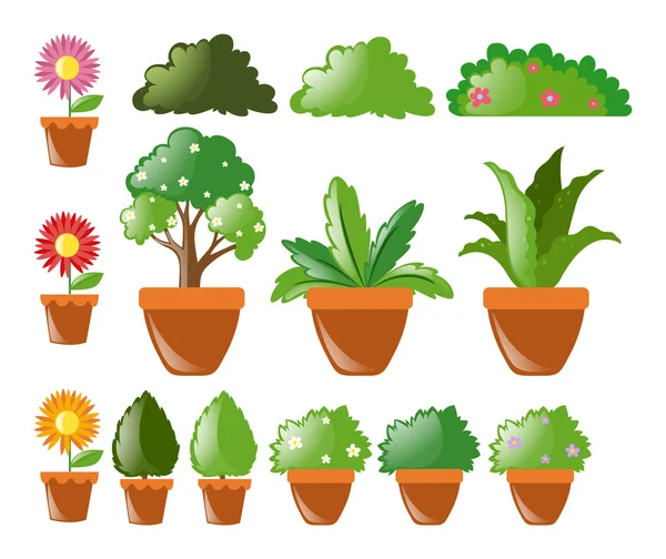 Different kinds of plants in pot — Stock Vector