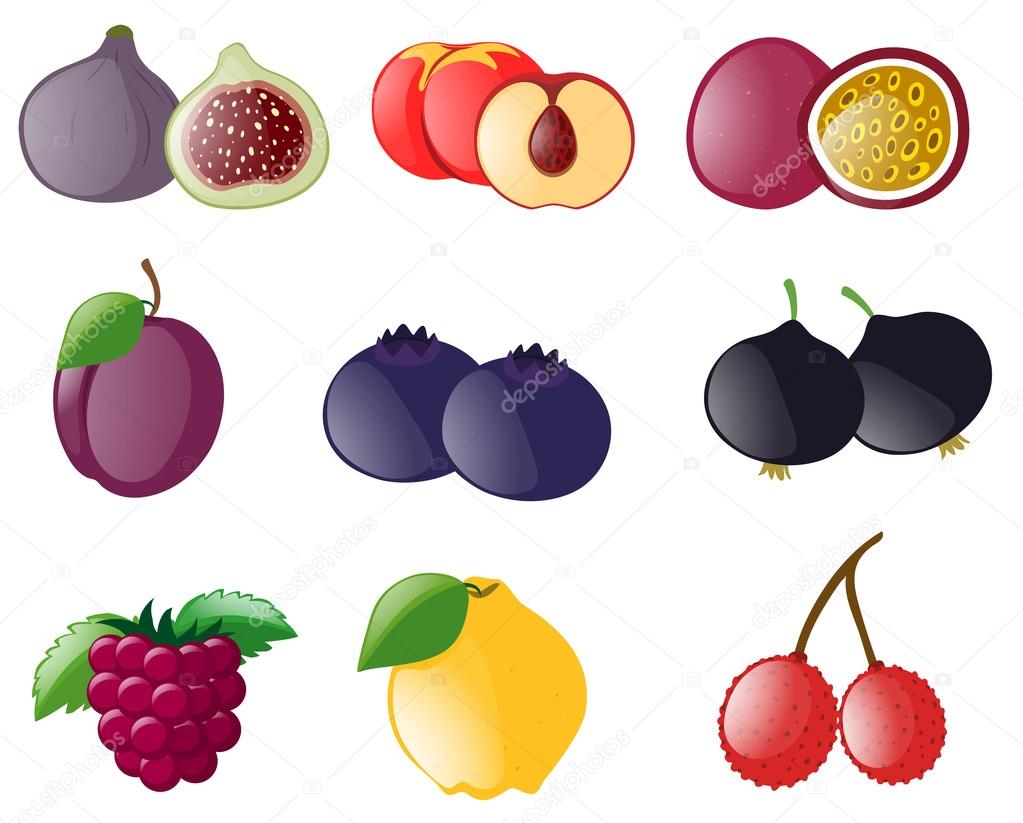 Verschiedene Arten tropischer Früchte - Vektorgrafik: lizenzfreie