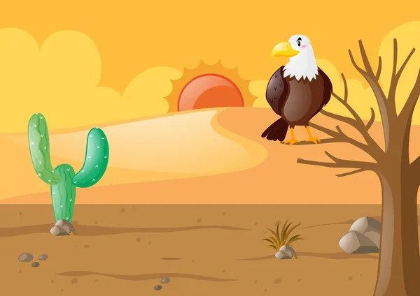 Águila en el desierto seco — Vector de stock