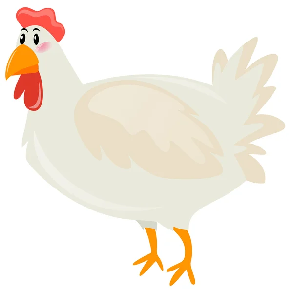 Huhn mit weißer Feder — Stockvektor