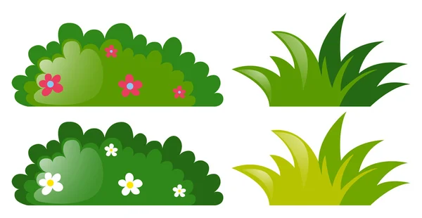 Four bushes with and without flowers — Stock Vector