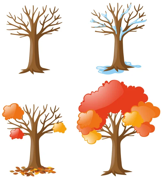 Ağaç farklı mevsimlerde — Stok Vektör