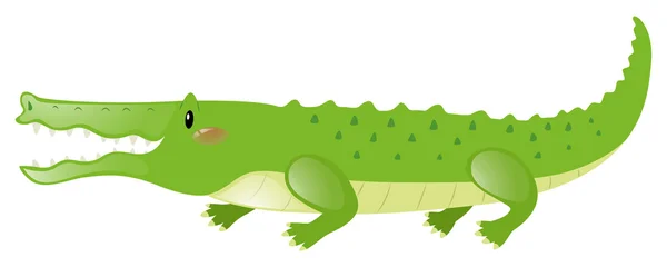 Crocodile au visage heureux — Image vectorielle