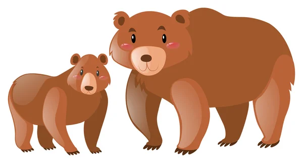 Orso grizzly marrone su sfondo bianco — Vettoriale Stock