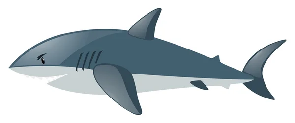 白地のサメ — ストックベクタ