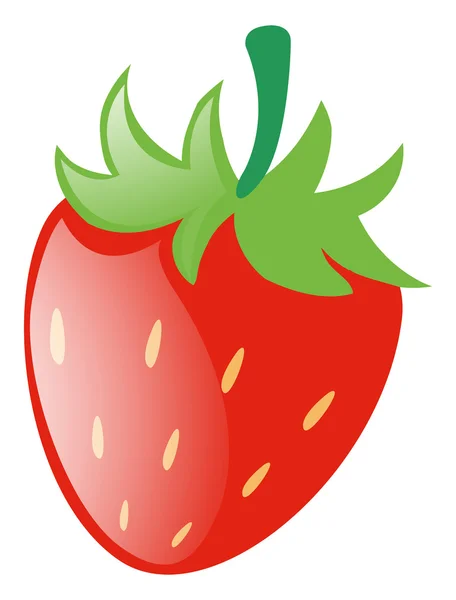 Frische Erdbeere mit grünem Stiel — Stockvektor