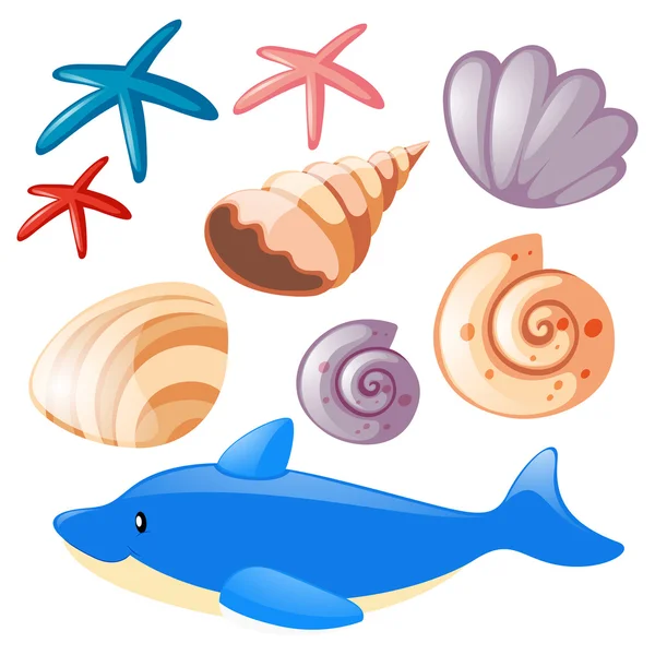 Ocean set with starfish and shells — Stock Vector