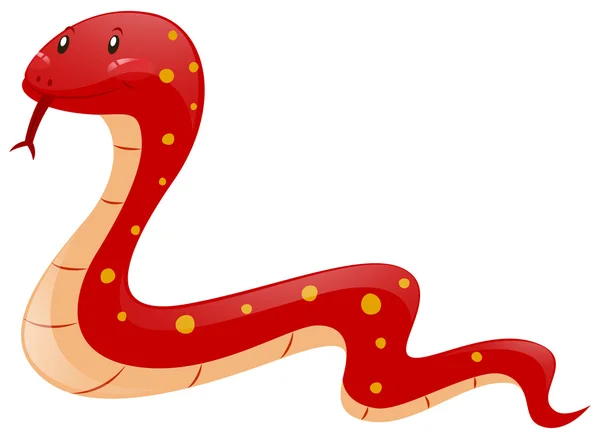 Red snake on white background — Stock Vector