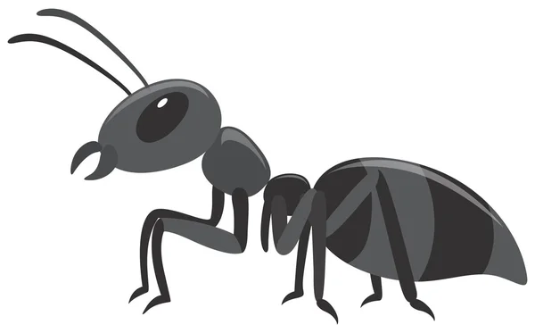 Чёрный муравей — стоковый вектор