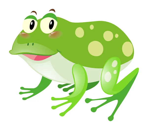 Green frog with happy face — Stock Vector