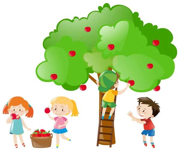 Діти збирають яблука з дерева — стоковий вектор