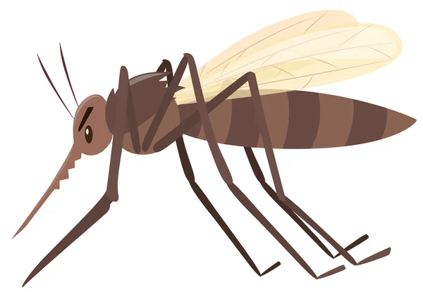 Mosquito volando sobre fondo blanco — Archivo Imágenes Vectoriales