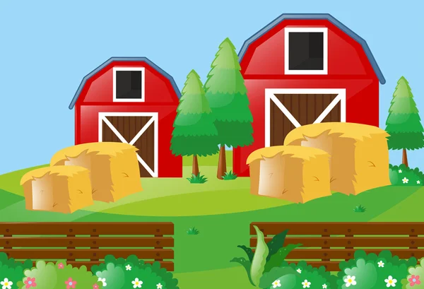 Farm scene with two barns in farm — Stockový vektor