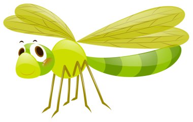 Yusufçuk yeşil renkte