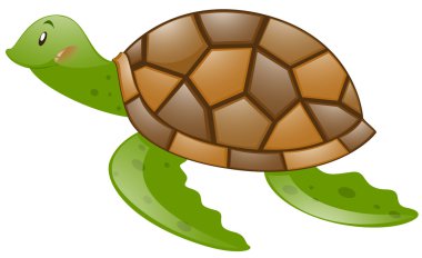 Sevimli kaplumbağa ile kahverengi deniz hayvanı kabuğu