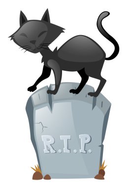 Mezar taşı üzerinde siyah kedi