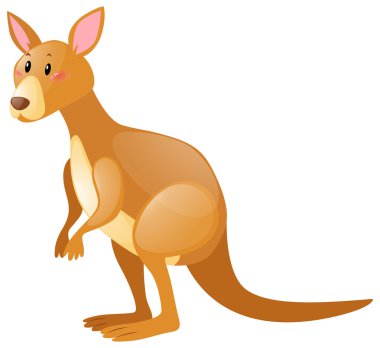 Beyaz üzerine şirin kanguru