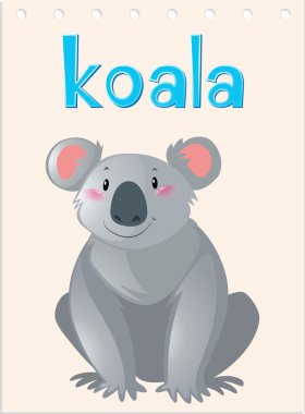 Koala hayvanla flashcard