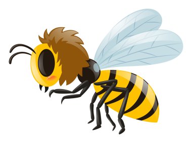 Beyaz arka plan üzerinde uçan küçük arı