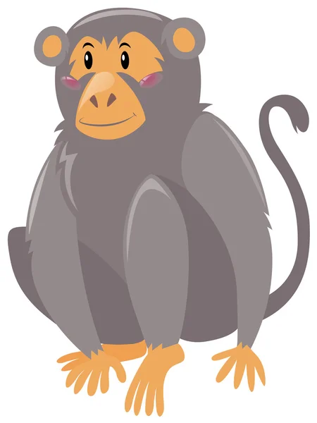 白い背景の可愛い猿 — ストックベクタ
