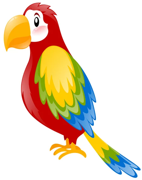 Papegoja med färgglad fjäder — Stock vektor